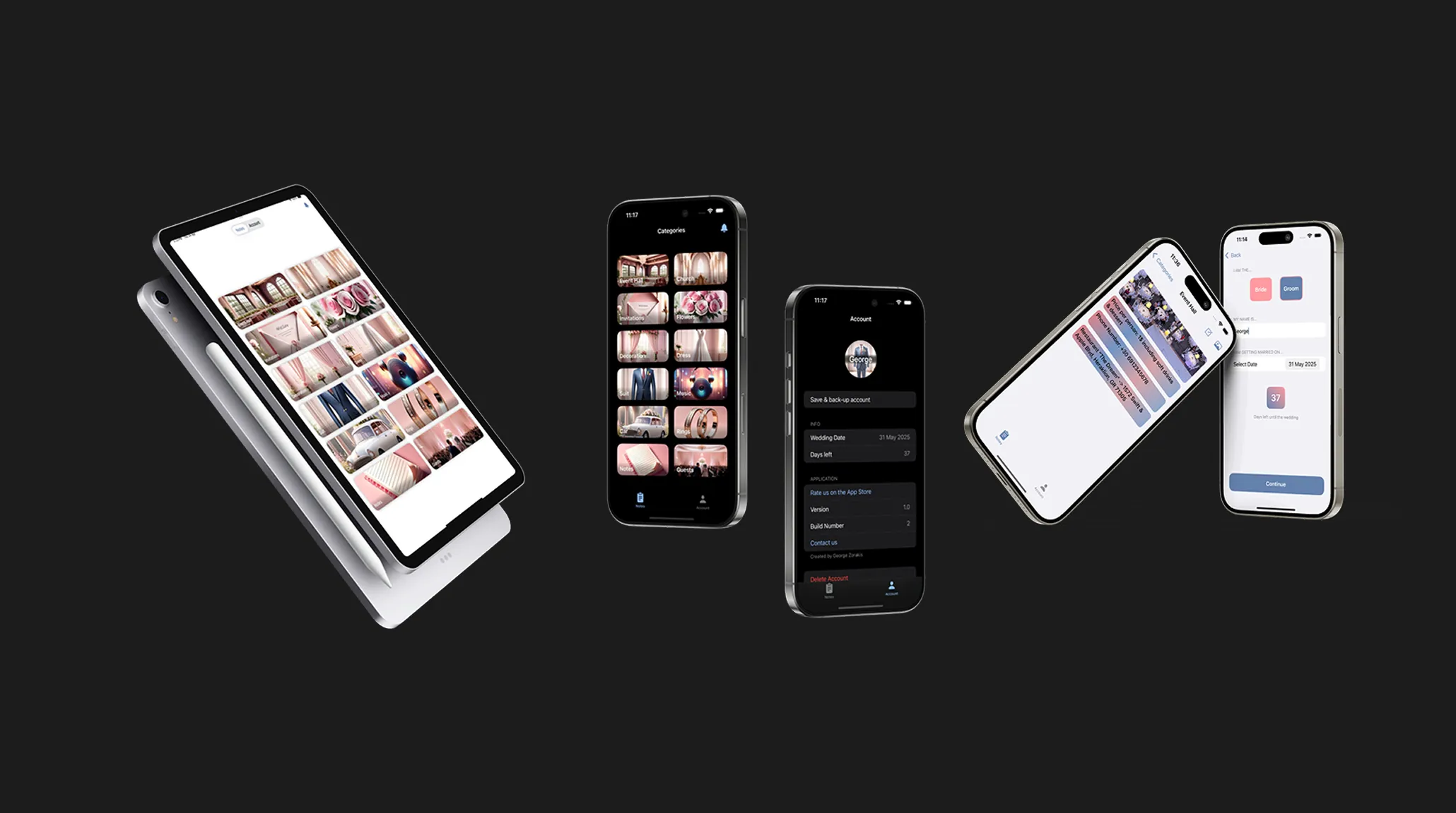 Project screenshot 2